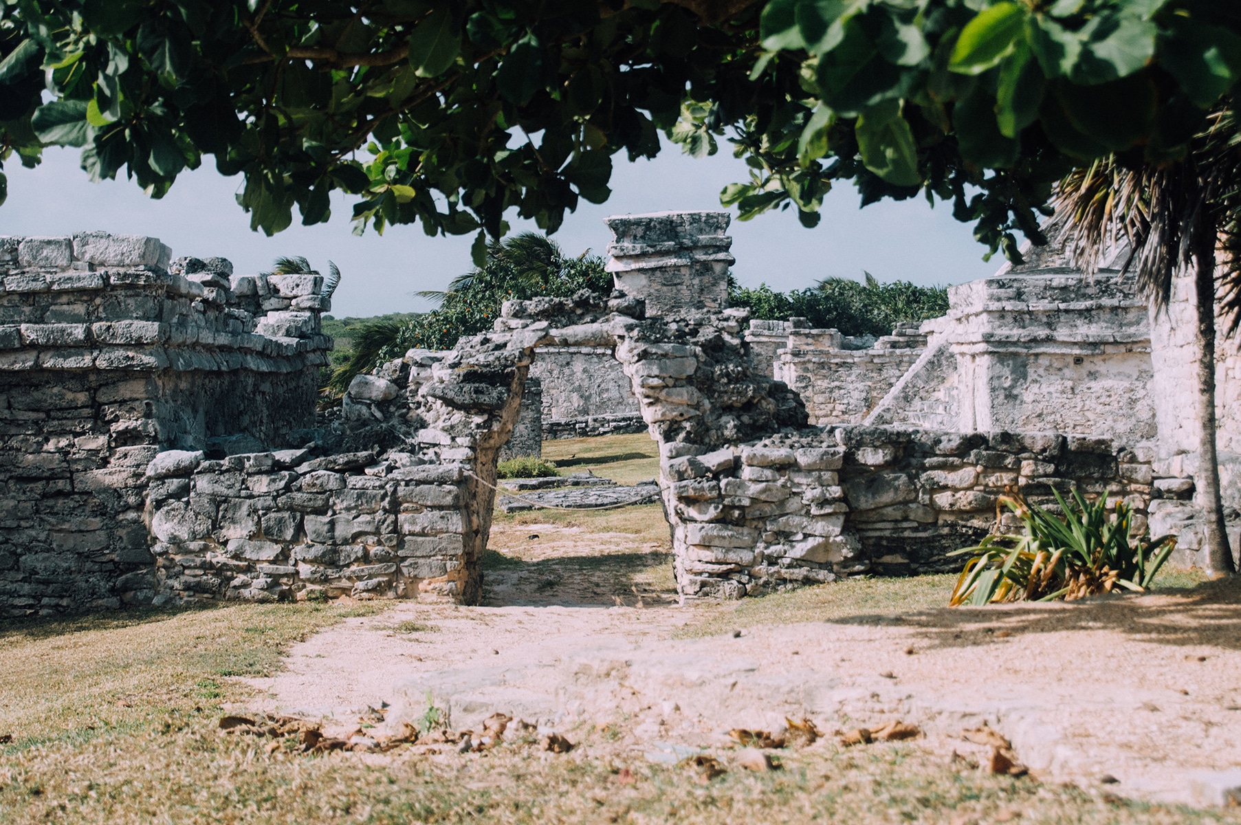 Ruines Tulum Mexique