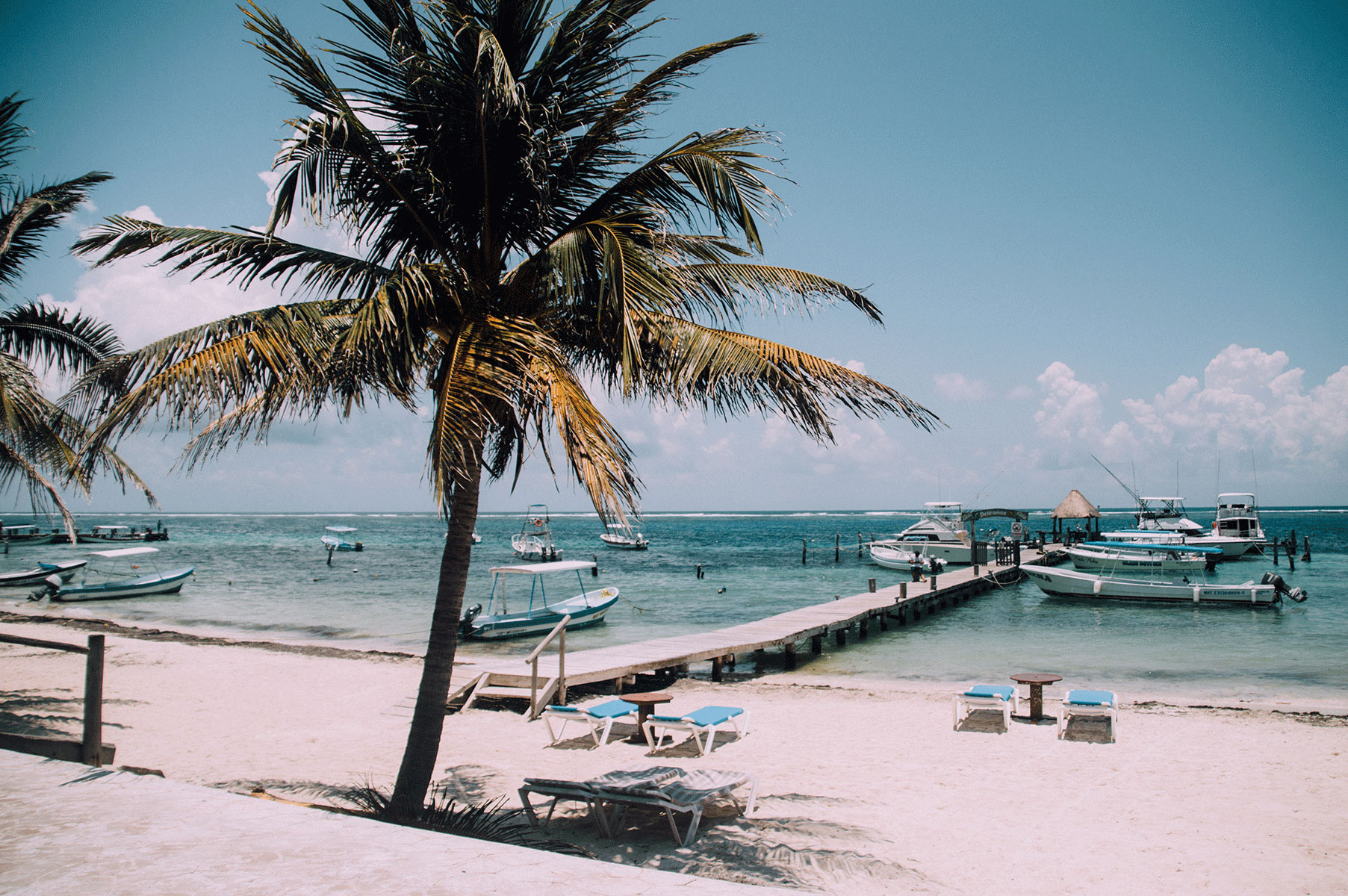 snorkelingmexiqueplayadelcarmen The Frenchie Abroad